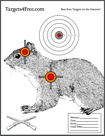 Realistic life-sized squirrel target with vital areas marked.