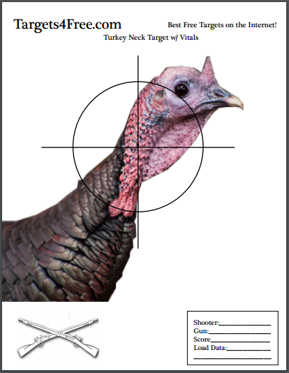 turkey hunting target shooting guns