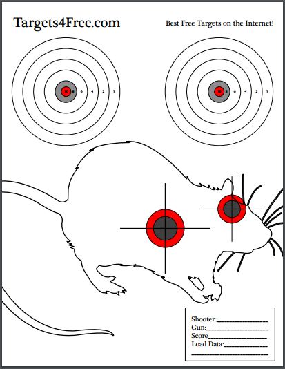 printable animal targets