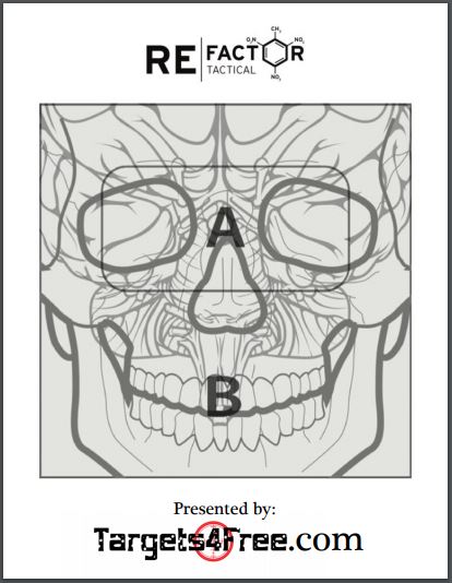 Kill Zone Target by RE Factor Tactical Preview Snip